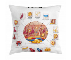 Skin Anatomy Veins Pillow Cover