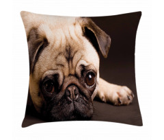 Puppy Photograph Animals Pillow Cover