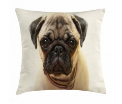 Pure Bred Dog Photograph Pillow Cover