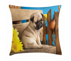Puppy Photography on Bench Pillow Cover