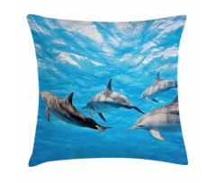 Happily Swimming Fish Pillow Cover