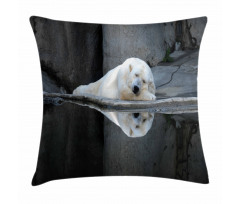 Sleeping Calm Zoo Animal Pillow Cover
