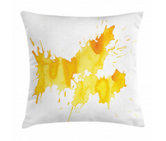 Color Splash Pillow Cover