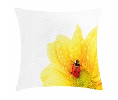 Ladybug Pillow Cover