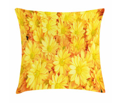 Lively Dasies Pillow Cover