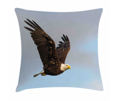 Hunter Bird in Open Sky Pillow Cover