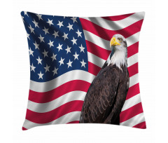 Patriotic America Pillow Cover