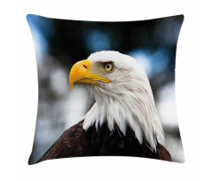 Freedom United States Pillow Cover