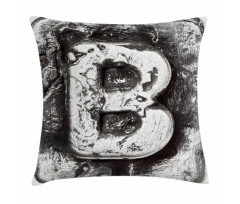 Aged B Cracks Effect Pillow Cover