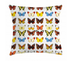 Butterflies Many Shapes Pillow Cover