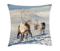 Reindeers Norway Caribou Pillow Cover