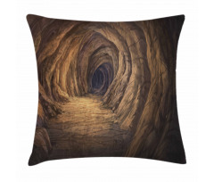 Geologic Formation Pillow Cover
