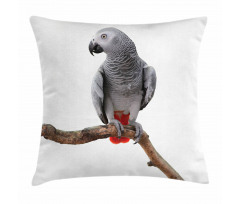 Parrot on a Branch Pillow Cover