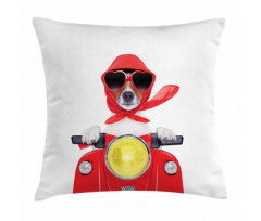 Canine with Scarf Pillow Cover