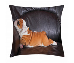Resting Puppy Pillow Cover