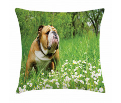Blossom Daisies Pillow Cover