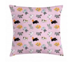 Colorful Baby Kittens Pillow Cover