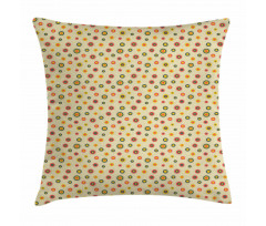 Bullseye Circle Shapes Pillow Cover