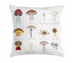 Blusher Boletus Sketch Pillow Cover