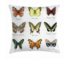 Spring Bugs Pattern Pillow Cover