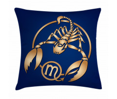 Blue Pillow Cover