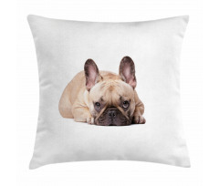Funny Pet Animal Lovers Pillow Cover
