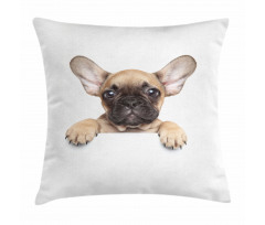 Pedigreed Young Puppy Pillow Cover