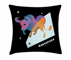Day Night Theme Pillow Cover