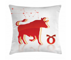 Animal and Stars Pillow Cover