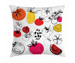 Vivid Sketched Tomatoes Pillow Cover