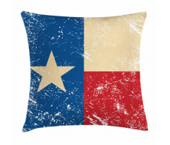 Independence Pillow Cover