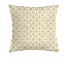Thin Sliced Citruses Pillow Cover