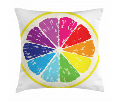 Rainbow Citrus Slice Pillow Cover