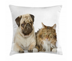 Pets Sitting Studio Shot Pillow Cover