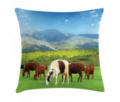 Spring Season Cottage Pillow Cover