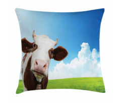 Staring Brown Animal Pillow Cover