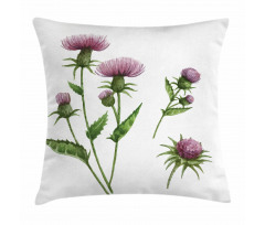 Healing Herbs Concept Pillow Cover