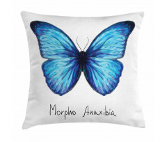 Abstract Butterfly Pillow Cover