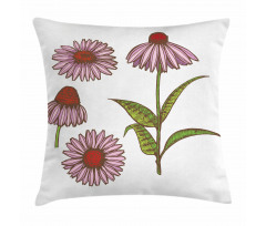 Coneflower Herbs Pillow Cover