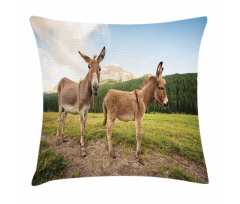 Dolomites Italy Countryside Pillow Cover