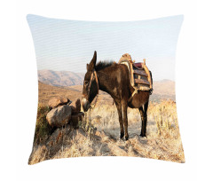 Greek Donkey in Mountains Pillow Cover