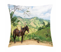 Rural ColumbiMountains Pillow Cover