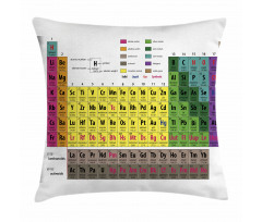 Chemistry Educational Pillow Cover
