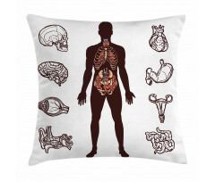 Organs Infographic Image Pillow Cover