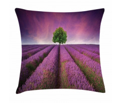 Lavender Fields and Tree Pillow Cover