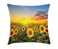 Sunflowers Field Dusk Pillow Cover
