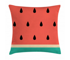 Minimalistic Watermelon Art Pillow Cover