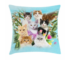 Cats Feline Domestic Pillow Cover