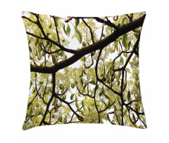 Close up Leafy Branches Photo Pillow Cover