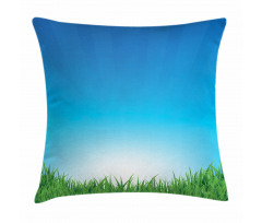 Sunburst Stripes with Grass Pillow Cover